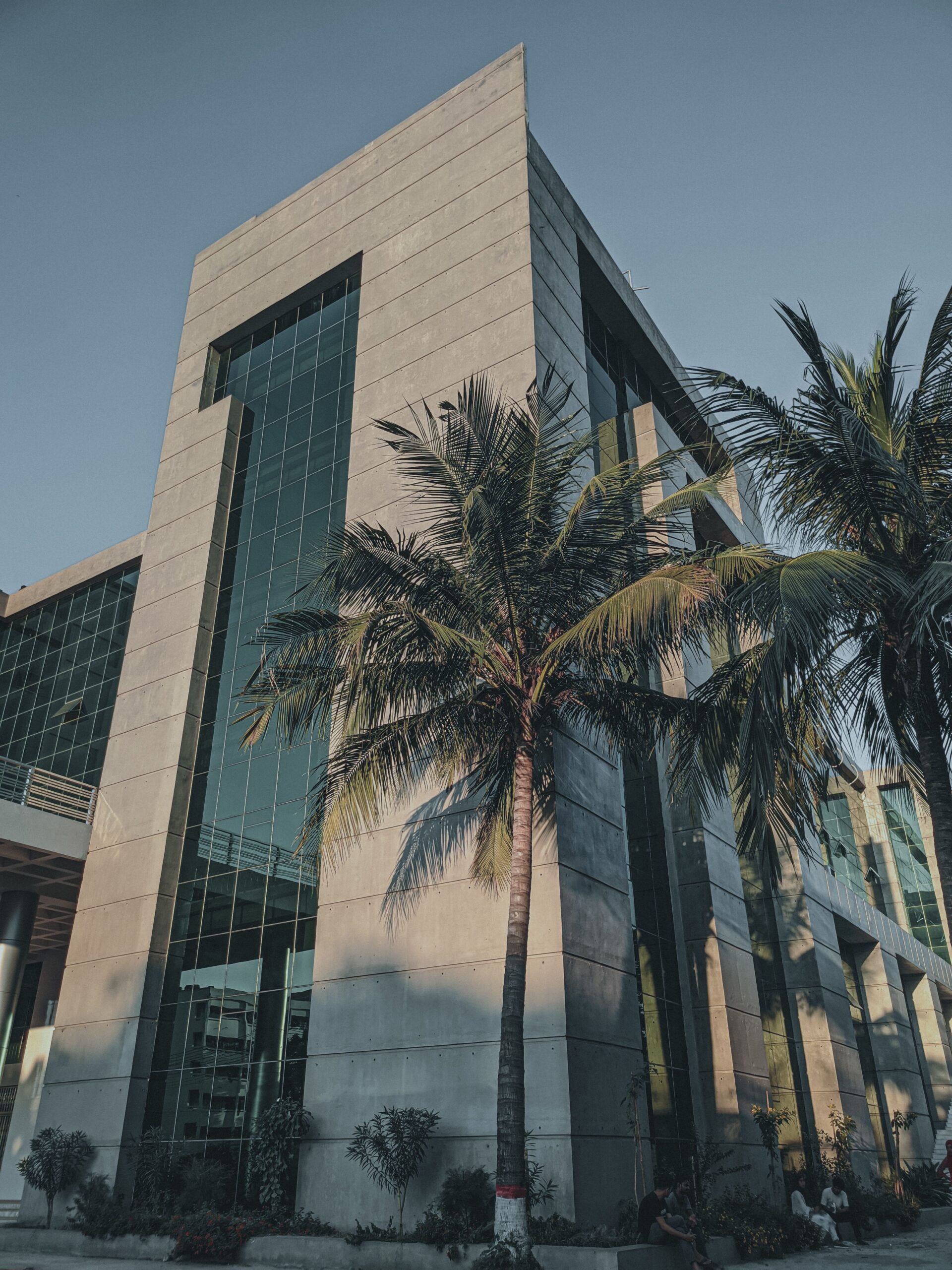 executive building with palm trees in front